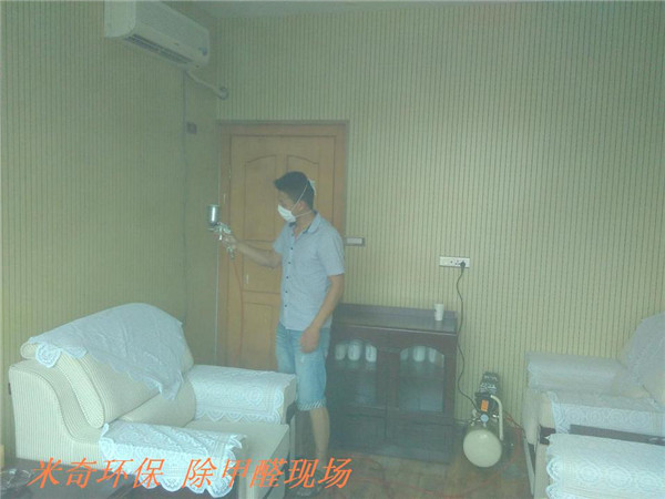 政府机构除甲醛6